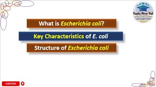 Structure of Escherichia coli  key characteristics of Ecoli bacteriology microbiology ecoli [upl. by Renaud412]