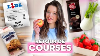 Retour de courses LIDL HEALTHY amp PETIT BUDGET  idées repas faciles [upl. by Tades546]