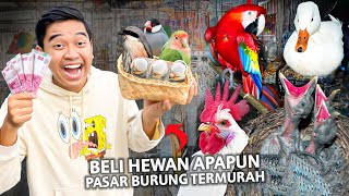 BELI HEWAN APAPUN DI PASAR BURUNG TERMURAH BANDUNG [upl. by Hattie62]