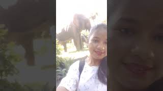 Guindy National Park Chennai My 1st mini vlog  Miss Chayashorts [upl. by Enybor51]