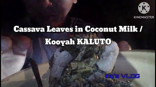 Cassava Leaves in Coconut Milk  Health Benefits  Kooyah KALUTO [upl. by Aldred]