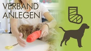 Verband richtig anlegen Pfotenverband wechseln  So gehts richtig [upl. by Nekciv]