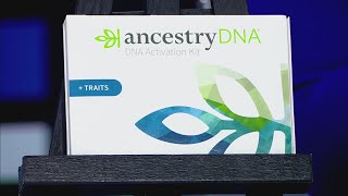 Ancestry DNA traits can tell you more about your personality [upl. by Swen267]