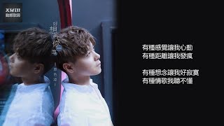 單色凌  好想再見你一面「XWill動態歌詞版MV」 [upl. by Garfield]