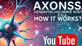 Axons Dendrite and Neurons Nerve Cell Body [upl. by Ardnekat]