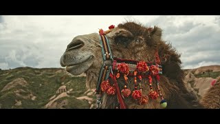 KAPPADOKIEN Impressionen  Cappadocia Impressions [upl. by Nnaylrebmik]