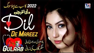 Dil De Mareez  Gulaab  Punjabi Sad Song official  Latest Punjabi Saraiki Songs [upl. by Brout]