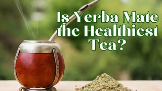 Is Yerba Mate the Healthiest Tea [upl. by Aeneus958]