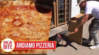 Barstool Pizza Review  Andiamo Pizzeria Scottsdale AZ [upl. by Gnilyarg]