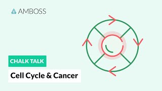 Cell Cycle and Cancer Phases Hallmarks and Development [upl. by Ardnossac78]