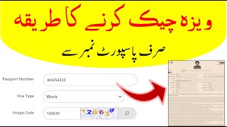 How to check work visa status online with passport number  Visa status in saudi embassy  Saudiinfo [upl. by Enilarac]