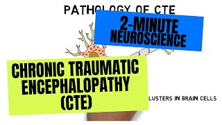 2Minute Neuroscience Chronic Traumatic Encephalopathy CTE [upl. by Prentiss]