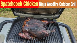 Whole Chicken Spatchcock Ninja Woodfire Outdoor Grill Recipe [upl. by Ahsiea125]