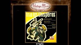 Trio Los Chisperos  El Tigrito Canción Popular Venezolana VintageMusices [upl. by Lebanna740]