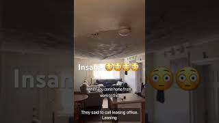 Man comes home to ceiling caving in 😳 Crazy [upl. by Siladnerb]