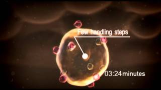 Less Time to RealTime PCR with Ambion® CellstoCT™ kits [upl. by Sinne]