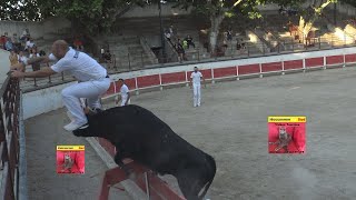 BELLEGARDETAUS NEUFS15062021Course Camarguaise [upl. by Esiuqcaj]