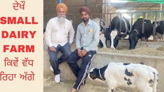 HOW SMALL DIARY FARMER GOING TO SUCCESS STEP BY STEP WITH LESS INVESTMENT  AULAKH DIARY FARM [upl. by Macintyre539]