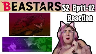 THE END  Beastars S2 E11 12 REACTION  Zamber Reacts [upl. by Lledal]