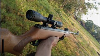 Algunos tiros con el rifle 55 Rifle Apolo sr1250 con mira Beeman 4x32 [upl. by Ivgnout138]