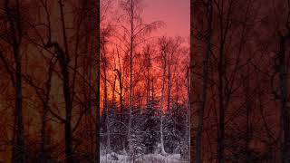 Red sky at night Alaskan winter delight [upl. by Castle]