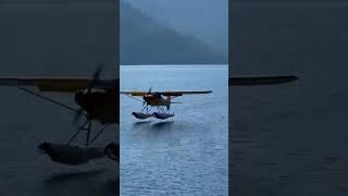 My first floatplane landing floatplane [upl. by Orvan]