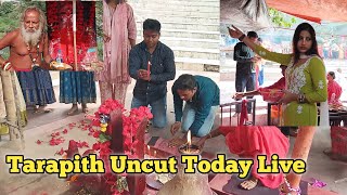 Tarapith Today Live  Tarapith  Tarapith Mandir Live  Tarapith Tour 2024 [upl. by Enyamert]