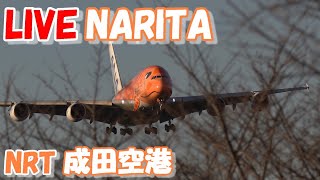 🔴LIVE at NARITA International Airport Plane Spotting 20240415 成田空港ライブカメラ 成田空港 NRTRJAA [upl. by Meade]