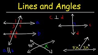 Parallel and Perpendicular Lines Transversals Alternate Interior Angles Alternate Exterior Angles [upl. by Middle870]