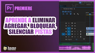 🎞️ PREMIERE PRO 03  ELIMINAR AGREGAR BLOQUEAR 🔒PISTAS [upl. by Maribeth]