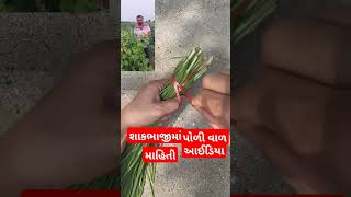 શાકભાજી માં ઉપયોગ આવે એવું કામ agriculture smart work gujaratifarmer 👍🌾🌿🌱👌🚜🐂🐃 [upl. by Ahseikram]