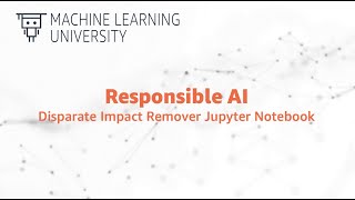 Responsible AI 1930  Disparate Impact Remover Jupyter Notebook [upl. by Aket708]