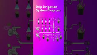 🇺🇸Americaல Drip Irrigation System WiFi Sprinkler System App Controlled 🌎 Evaporation Wind💨 [upl. by Brnaba]