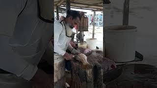 INCREDIBLE BARRAMUNDI FISH CUTTING fishcuttingskillssrilankashorts [upl. by Luise]