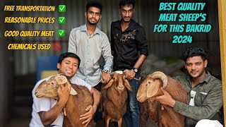 Bangalore Best sheep farm with full reasonable prices bakrid special 2024 with price and all details [upl. by Ordisy598]