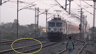 OMG  2 Dogs Escape Being Crushed By Just 2 Seconds With 130Kmph Fast Mumbai Rajdhani Express [upl. by Lad]