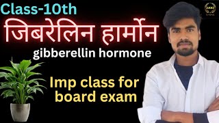 जिबेरेलिन हॉर्मोन  gibberellin hormone  biology by hardik sir [upl. by Winstonn]