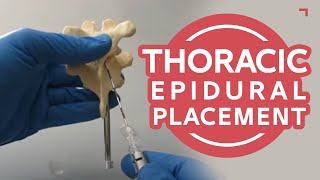 Thoracic Epidural Placement Landmark Training  Human Anatomical Model T78 [upl. by Ibbison724]