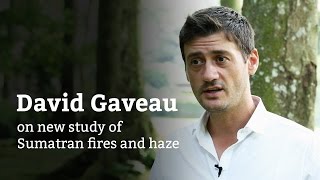 David Gaveau on new haze study [upl. by Mendes]