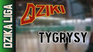 20 10 Dziki vs Tygrysy – Dzika Liga Gold Jesień 2024 [upl. by Alek]