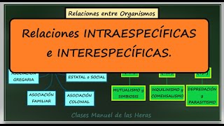 Relaciones Ecológicas Intraespecíficas e Interespecíficas Interacciones en los Ecosistemas [upl. by Skiba]