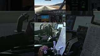 Landing Rhodes  B737 MAX8 MSFS pilotlife cockpitviews aviation cockpit msfs2020 pmdg fyp [upl. by Adnorat]