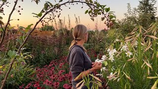 Floret Farm Tour Fall Cutting Garden [upl. by Baoj891]