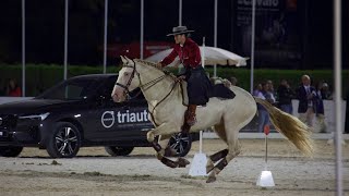 World championship of working equitation speed test Nicole e Inca [upl. by Ahsitra]