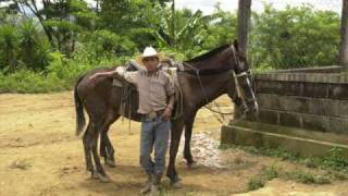 Charanga campesina Calixto Ochoa  version original [upl. by Eednim]