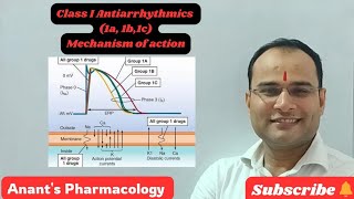 Class I Antiarrhythmics Use dependent blockadeIa Ib Ic [upl. by Strander192]