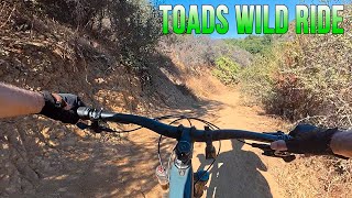 Mr Toads Wild Ride  Mountain Biking  Thousand Oaks CA [upl. by Melas]