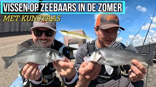 VISSEN OP ZEEBAARS MET KUNSTAAS IN DE ZOMER [upl. by Siul]