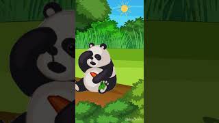 Cheerful Bunny  Chubby Pandas  Kids songs  Short [upl. by Lesde]