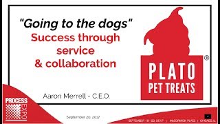 quotGoing to the Dogsquot Success Through Service amp Collaboration [upl. by Nanek]